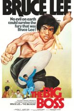 دانلود فیلم The Big Boss 1971